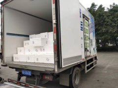 成都至林芝小龙虾的发运