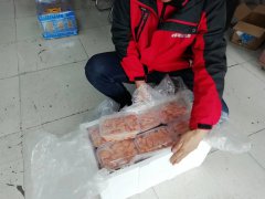 鲜活的货物为了保证食品的品质，可以通过什么