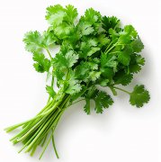 易腐农产品-两吨香菜航空托运